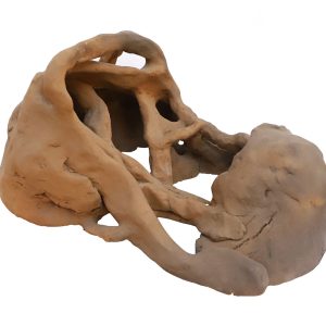 Earthen Embrace-Latika