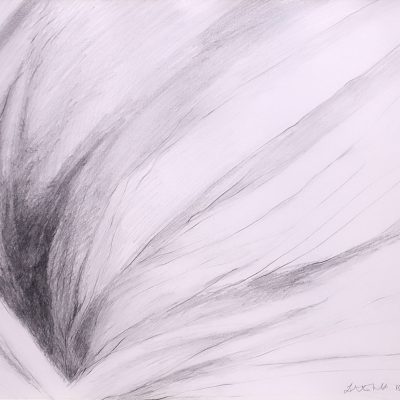 Emergence-Latika