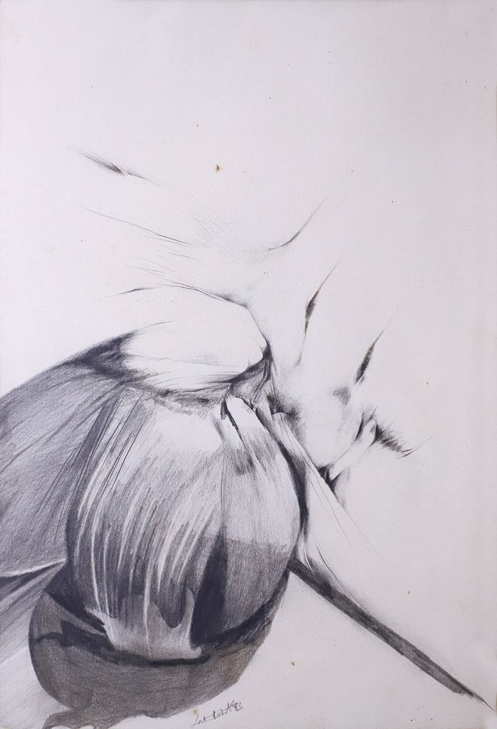 Germination-Latika