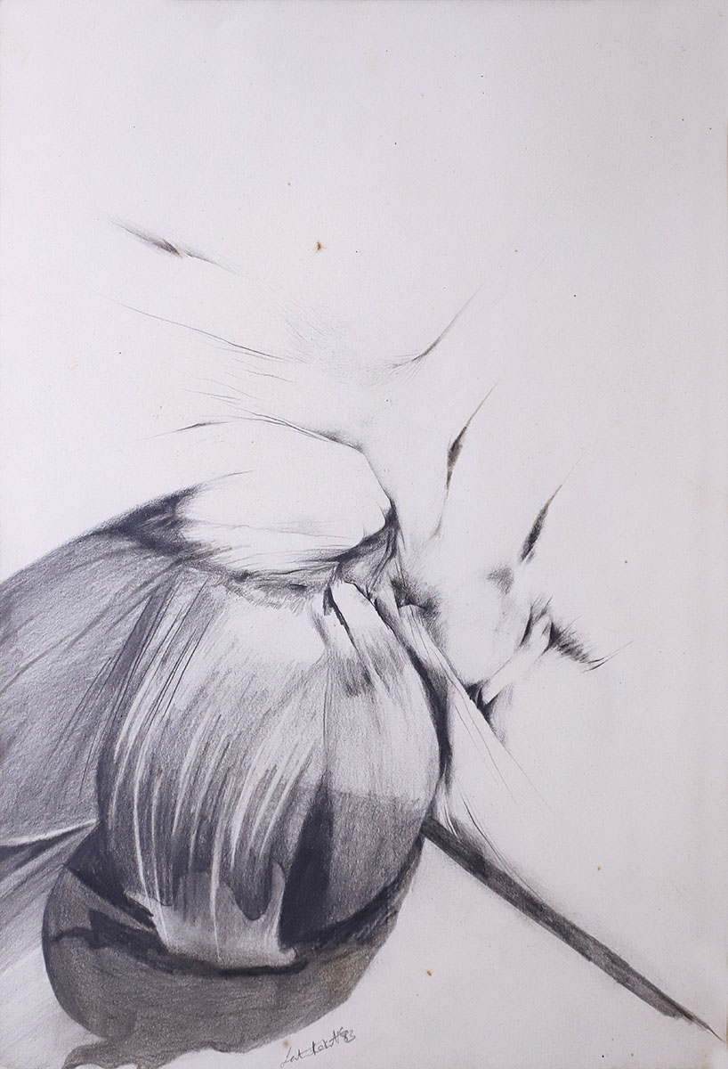 Germination-Latika