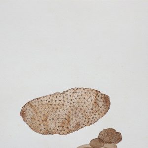 Untitled-Sojwal