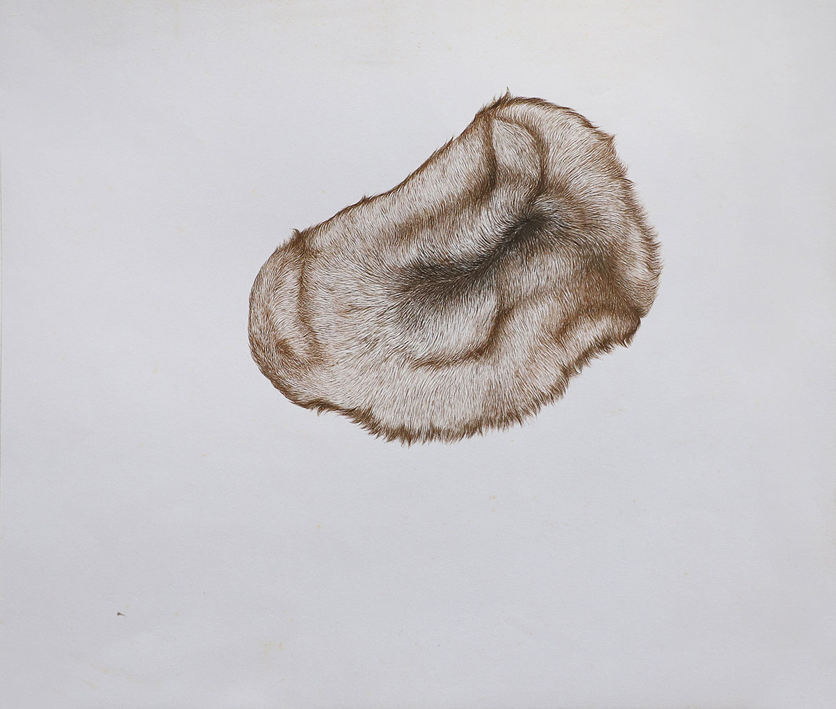Untitled-Sojwal