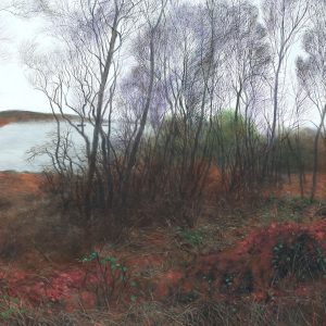 River-Woods-&-Foragers-Suddhasattwa-Basu