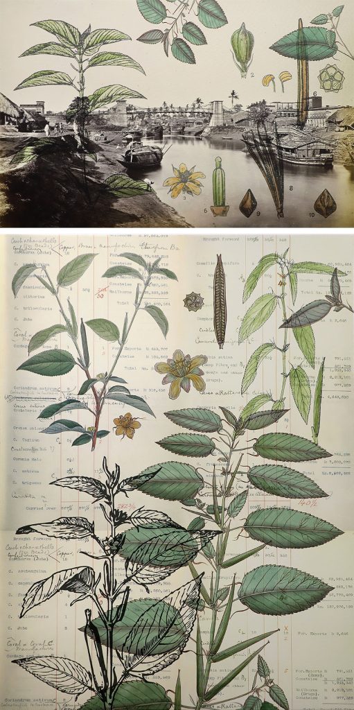 ‘living’ entities & ‘lively’ gardens II-Sonia Mehra