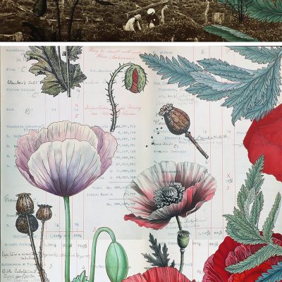 ‘living’ entities & ‘lively’ gardens III-Sonia Mehra