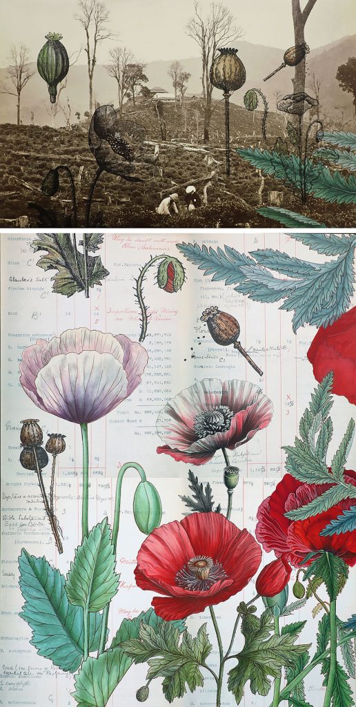 ‘living’ entities & ‘lively’ gardens III-Sonia Mehra
