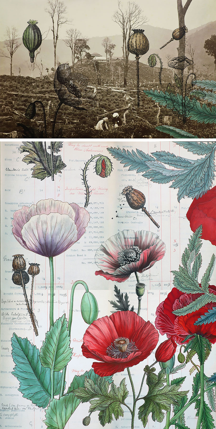 ‘living’ entities & ‘lively’ gardens III-Sonia Mehra