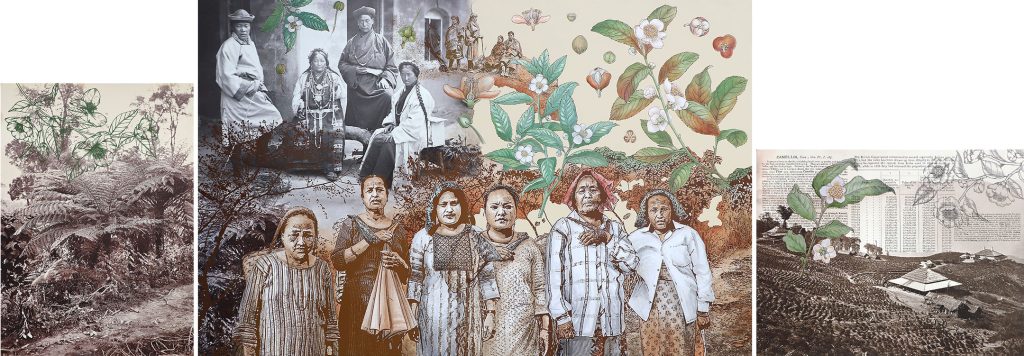 Ancestors II, পবপরুষ-Sonia-Mehra-Chawla