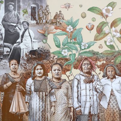 Ancestors II, পবপরুষ-Sonia-Mehra-Chawla